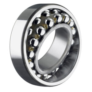 Лагер SKF 1205 ETN9 25x52x15